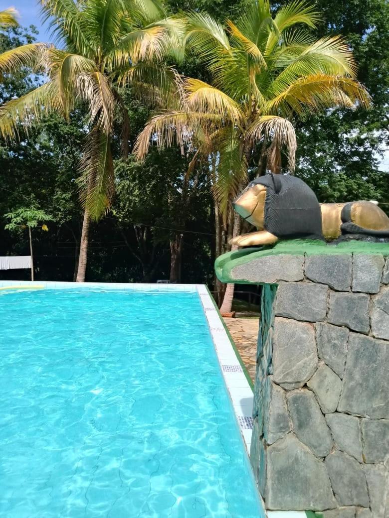 Pousada Vila Cintra Pirenópolis Exteriör bild