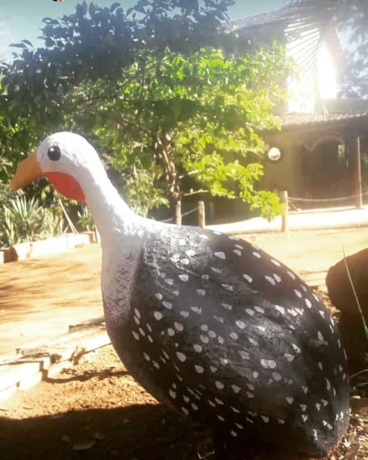 Pousada Vila Cintra Pirenópolis Exteriör bild
